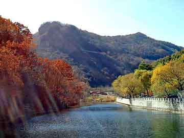 管家婆黑白马报图库，你好坏